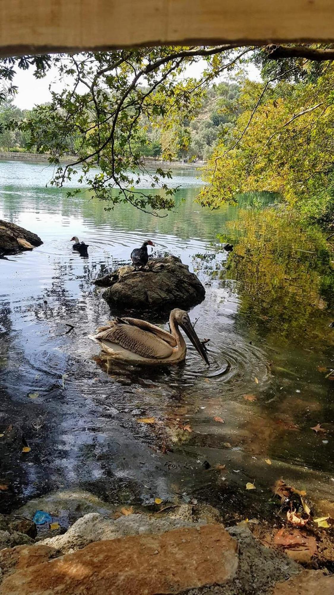 Pensjonat To Spiti Tou Papa Sto Vouno Kamilari Zewnętrze zdjęcie