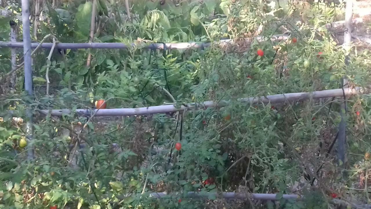 Pensjonat To Spiti Tou Papa Sto Vouno Kamilari Zewnętrze zdjęcie